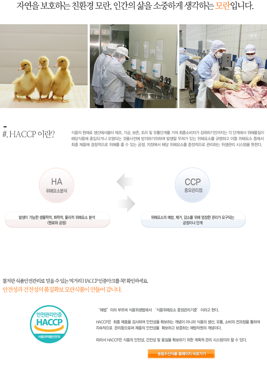 haccp